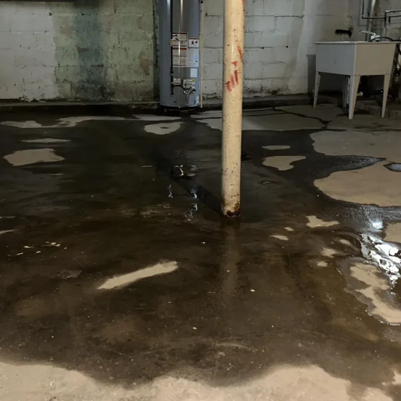 Emergency Water Extraction And Removal in Bluewell, WV